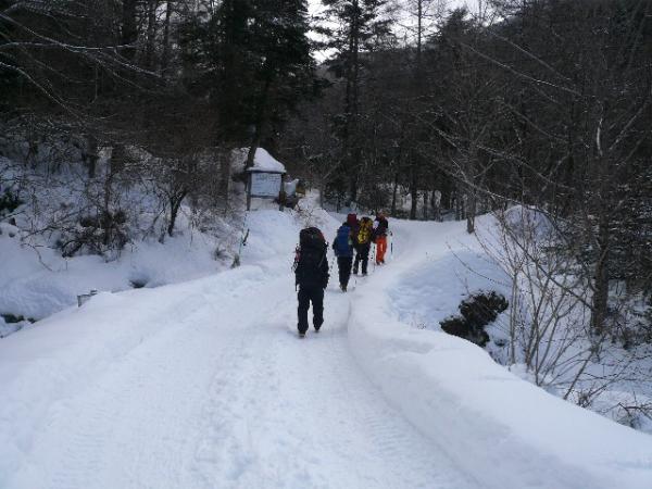 美濃戸山荘手前の林道を歩きます